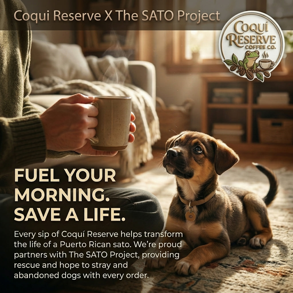 From Bean to Bark: How Your Morning Coffee Helps Satos Find Forever Homes 🐾