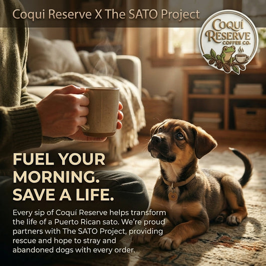 From Bean to Bark: How Your Morning Coffee Helps Satos Find Forever Homes 🐾